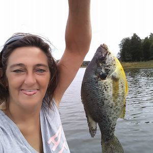 Meet your Posher, Patty